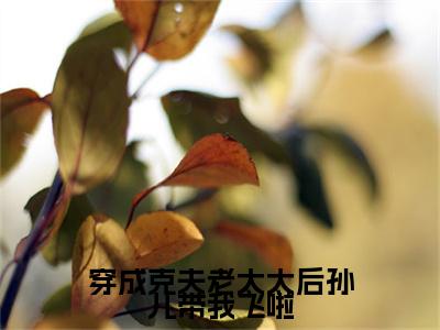 小说穿成克夫老太太后孙儿带我飞啦在线阅读-正版小说《秀芬儿》穿成克夫老太太后孙儿带我飞啦全文阅读