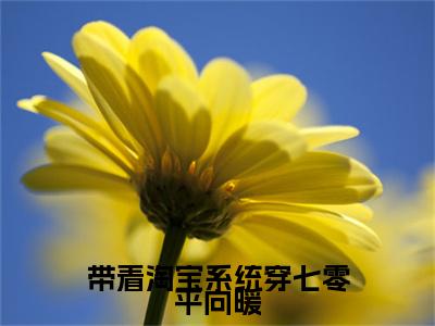 带着淘宝系统穿七零平向暖在线阅读（唐和平向暖）全文免费阅读大结局_带着淘宝系统穿七零平向暖免费最新章节列表_笔趣阁