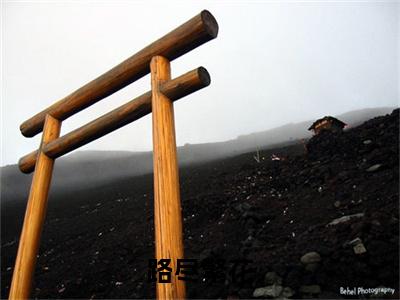 宋婷婷顾景烨（路尽繁花）小说免费下载全本-宋婷婷顾景烨（路尽繁花完整版）免费阅读