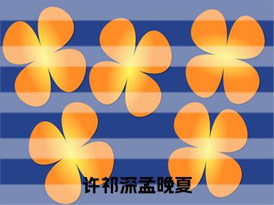 孟晚夏许祁深（许祁深孟晚夏）全文在线阅读无弹窗大结局_孟晚夏许祁深精选免费小说大结局阅读_许祁深孟晚夏