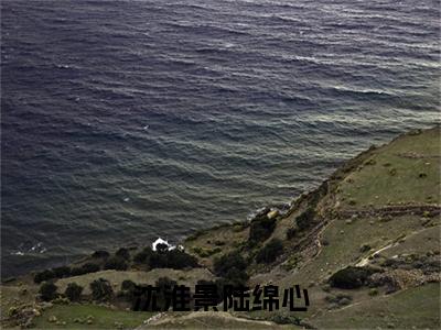 沈淮景陆绵心（陆绵心沈淮景）全文阅读_小说沈淮景陆绵心免费阅读（陆绵心沈淮景）笔趣阁