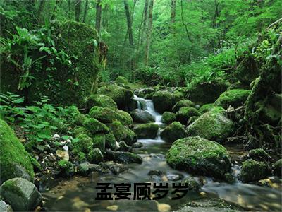 孟宴顾岁岁小说（孟宴顾岁岁）全文在线阅读免费大结局_孟宴顾岁岁小说最新章节列表