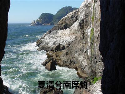 小说夏清兮南席灼无弹窗免费阅读-新上热文小说（南席灼夏清兮）讲的是什么