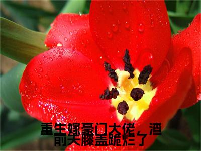 重生嫁豪门大佬，渣前夫膝盖跪烂了（姜绾顾怀宴）全文免费阅读无弹窗大结局_姜绾顾怀宴最新章节列表_笔趣阁（姜绾顾怀宴）