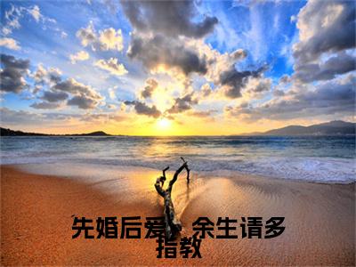 沈洛瑶陆旻岑（先婚后爱，余生请多指教）全文免费阅读无弹窗大结局_先婚后爱，余生请多指教最新章节列表_笔趣阁