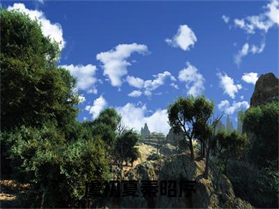 秦昭序虞初夏（虞初夏秦昭序）全文阅读完整版_秦昭序虞初夏（虞初夏秦昭序）小说免费阅读大结局无删减