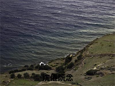 （沈倦阮念）全文免费阅读无弹窗大结局_（阮念沈倦）章节列表_笔趣阁