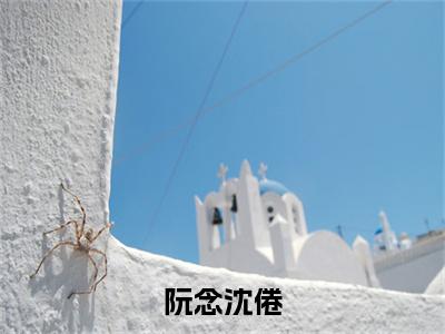 阮念沈倦（阮念沈倦）全文免费阅读无弹窗大结局_阮念沈倦小说最新章节列表_笔趣阁（阮念沈倦）