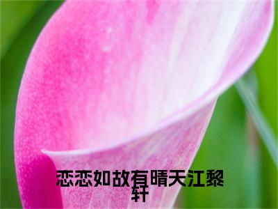 恋恋如故有晴天江黎轩最新章节（夏以晴江黎轩）全文免费阅读无弹窗大结局_夏以晴江黎轩免费阅读