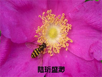 陆珩盛渺全文免费在线阅读_（盛渺陆珩盛渺陆珩全文免费阅读无弹窗大结局）陆珩盛渺最新章节列表笔趣阁