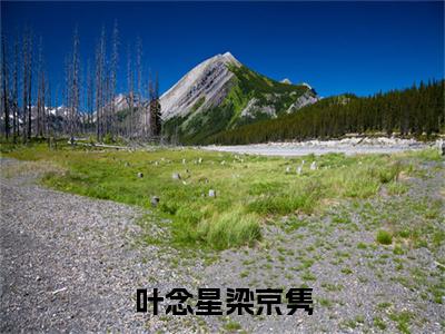 小说梁京隽叶念星（叶念星梁京隽）大结局免费阅读-叶念星梁京隽最新热门小说全文阅读