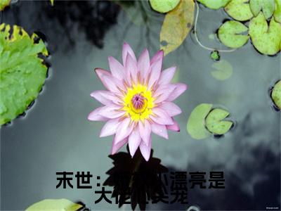 小说沈岁桉谢聿白（末世：娇软小漂亮是大佬心尖宠）大结局免费阅读-末世：娇软小漂亮是大佬心尖宠最新热门小说全文阅读