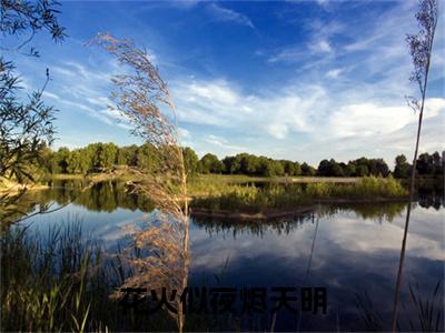 夏以沫顾年川快手小说（花火似夜烬天明）txt阅读大结局-抖音近期热门夏以沫顾年川全文免费