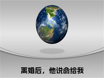 宋衍沉林烟歆（离婚后，他说命给我）全文免费读无弹窗大结局_宋衍沉林烟歆免费宋衍沉林烟歆读无弹窗最新章节列表_笔趣阁