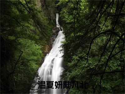 温夏妍陆凡北陆凡北温夏妍全文完整版-陆凡北温夏妍小说在线阅读