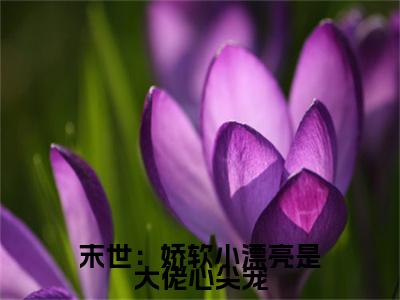 谢聿白沈岁桉小说-《末世：娇软小漂亮是大佬心尖宠》完整章节阅读无弹窗免费阅读大结局