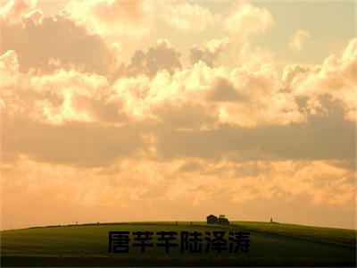 唐芊芊陆泽涛在线阅读（唐芊芊陆泽涛）全文免费阅读无弹窗大结局_（唐芊芊陆泽涛全文免费阅读）最新章节列表