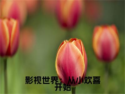 影视世界：从小欢喜开始小说最新章节-陈天宇全文免费阅读无弹窗大结局