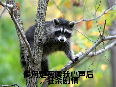 侯府炮灰读我心声后，狂杀剧情（乔念念）全文免费阅读无弹窗大结局-侯府炮灰读我心声后，狂杀剧情最新章节列表免费阅读