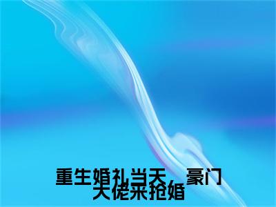 重生婚礼当天，豪门大佬来抢婚林亦风小说全文免费阅读无弹窗大结局_重生婚礼当天，豪门大佬来抢婚（林亦风）最新章节列表笔趣阁