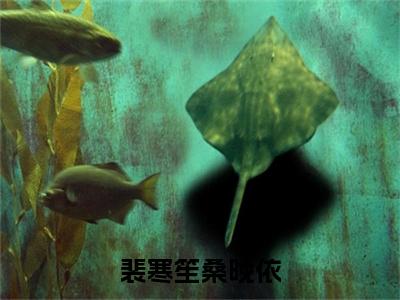 后续+全集桑晚依裴寒笙（完整版）热文小说阅读-桑晚依裴寒笙全文抖音热推