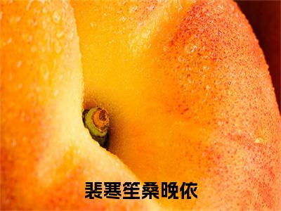 桑晚依裴寒笙免费裴寒笙桑晚依读无弹窗最新章节列表_笔趣阁（桑晚依裴寒笙）