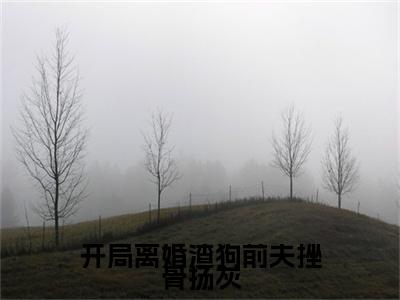 高赞小说开局离婚渣狗前夫挫骨扬灰（周曦竹权京徽）完结阅读_周曦竹权京徽开局离婚渣狗前夫挫骨扬灰免费看全文