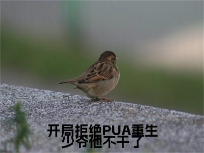 开局拒绝PUA重生少爷他不干了小说（楚子业楚安尘）全文免费阅读_（开局拒绝PUA重生少爷他不干了小说）楚子业楚安尘小说精彩在线赏析