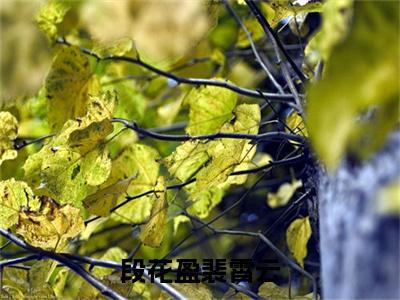 段花盈裴霄云小说全文无删减-段花盈裴霄云段花盈裴霄云小说大结局免费阅读