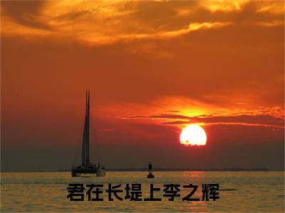 君在长堤上李之辉全文免费阅读无弹窗，罗爱君李之辉小说最新章节列表无删减_笔趣阁