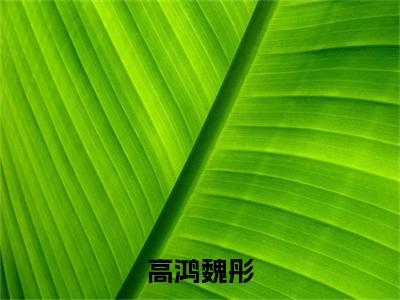 高鸿魏彤（魏彤高鸿）全文免费阅读无弹窗大结局_高鸿魏彤最新章节列表-笔趣阁魏彤高鸿