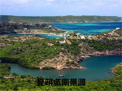 夏明鸢南景渊（南景渊夏明鸢）全文免费阅读无弹窗大结局_夏明鸢南景渊在线阅读笔趣阁