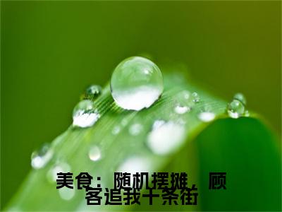 美食：随机摆摊，顾客追我十条街（林周）小说全文免费阅读无弹窗大结局_（美食：随机摆摊，顾客追我十条街全文免费阅读）林周最新章节列表