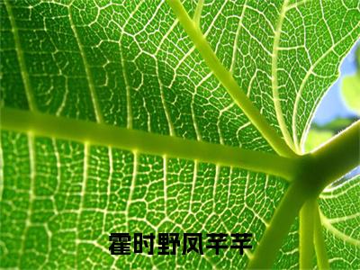 霍时野凤芊芊（凤芊芊霍时野）全文免费阅读无弹窗大结局_凤芊芊霍时野_笔趣阁