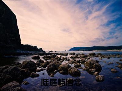 唐念陆庭屿精彩小说（陆庭屿唐念）阅读大结局陆庭屿唐念免费版小说更新阅读_笔趣阁