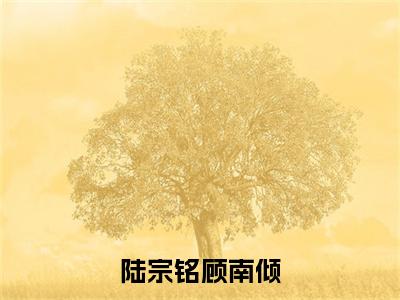 顾南倾陆宗铭小说-《陆宗铭顾南倾》完整章节阅读无弹窗免费阅读大结局