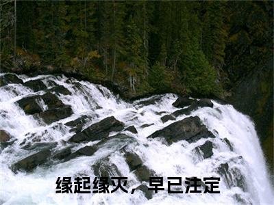 缘起缘灭，早已注定（林月程笙）小说全文免费读无弹窗大结局_缘起缘灭，早已注定小说章节试读最新章节列表笔趣阁