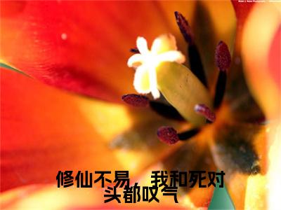 修仙不易，我和死对头都叹气小说（赵一粟江云尘）全文免费阅读大结局无删减_（赵一粟江云尘）修仙不易，我和死对头都叹气小说最新章节列表_笔趣阁