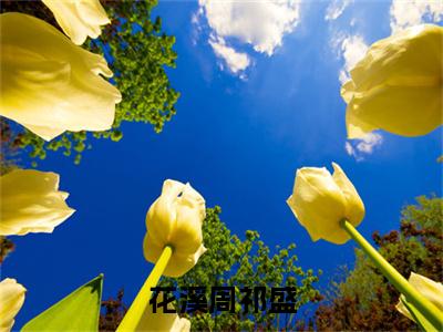 花溪周祁盛免费阅读（花溪周祁盛）完整版全文全章节阅读（花溪周祁盛免费+番外）