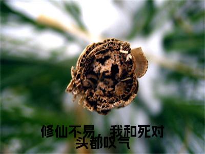 主人公叫（赵一粟江云尘）的小说（修仙不易，我和死对头都叹气）全文免费阅读最新章节列表_笔趣阁