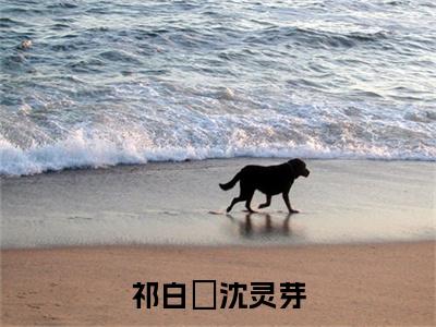 祁白璟沈灵芽（祁白璟沈灵芽免费小说）全文免费阅读无弹窗大结局_祁白璟沈灵芽免费小说最新章节列表_笔趣阁