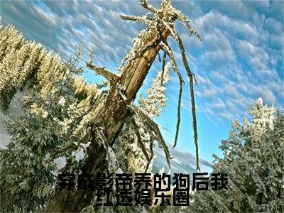 黎昭沈韫（穿成影帝养的狗后我红透娱乐圈）在哪免费看-小说（穿成影帝养的狗后我红透娱乐圈）全文完整版免费阅读黎昭沈韫