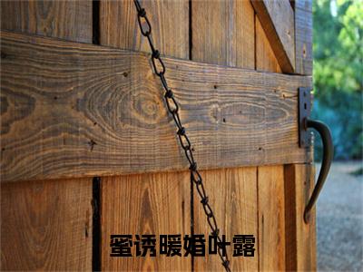 蜜诱暖婚叶露（季重楼叶露）全文免费阅读无弹窗无删减_小说（蜜诱暖婚叶露）季重楼叶露最新章节列表笔趣阁