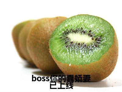 boss你的蠢娇妻已上线小说（顾西邢北岩）全文免费阅读_（顾西邢北岩）boss你的蠢娇妻已上线最新章节列表笔趣阁