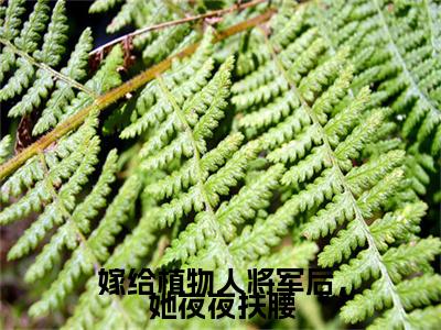 司宁陆寒骁全文免费阅读大结局嫁给植物人将军后，她夜夜扶腰最新章节列表（全文）+（番外）