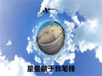 星星藏于我笔锋全文免费阅读（袁清雾钟思衡免费阅读无弹窗）星星藏于我笔锋最新章节列表