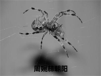 周婉林朝阳（林朝阳周婉）抖音热推小说全集无删减_（林朝阳周婉免费阅读全文大结局）最新章节列表_笔趣阁