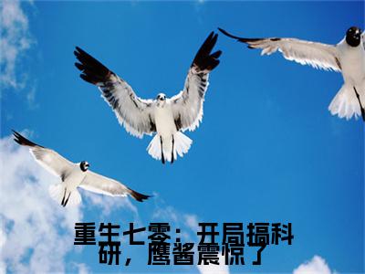 重生七零：开局搞科研，鹰酱震惊了（苏锦婳）全文免费阅读无弹窗大结局_（苏锦婳）重生七零：开局搞科研，鹰酱震惊了最新章节列表_笔趣阁