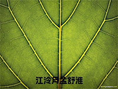 江泠月孟舒淮精彩章节在线阅读_孟舒淮江泠月免费观看（江泠月孟舒淮）完结版_笔趣阁（孟舒淮江泠月）