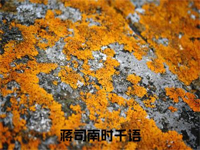 蒋司南时千语（时千语蒋司南）全文免费阅读无弹窗大结局_蒋司南时千语最新章节列表（时千语蒋司南）